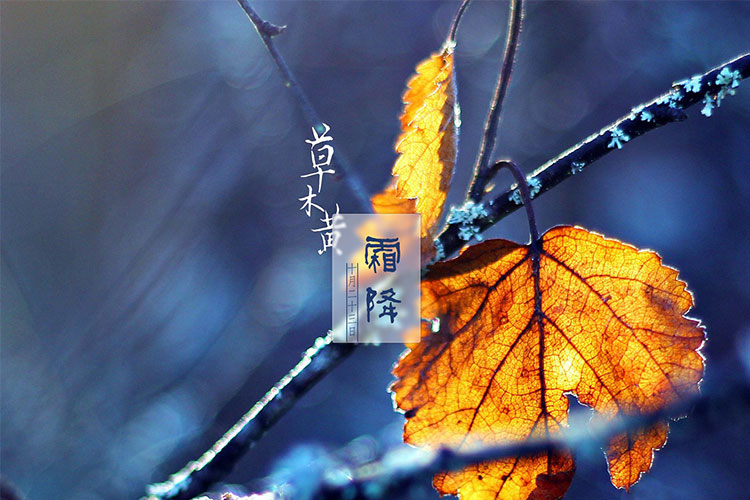 ˪|ľɽ˪ˮ