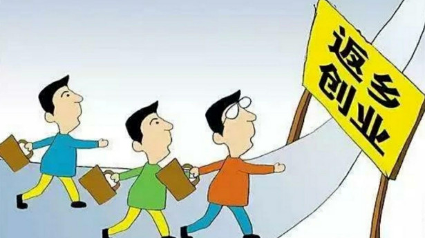 뷵紴ҵѧʲôã